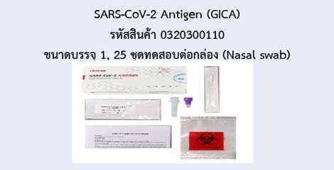 SARS-CoV-2 Antigen (GICA)